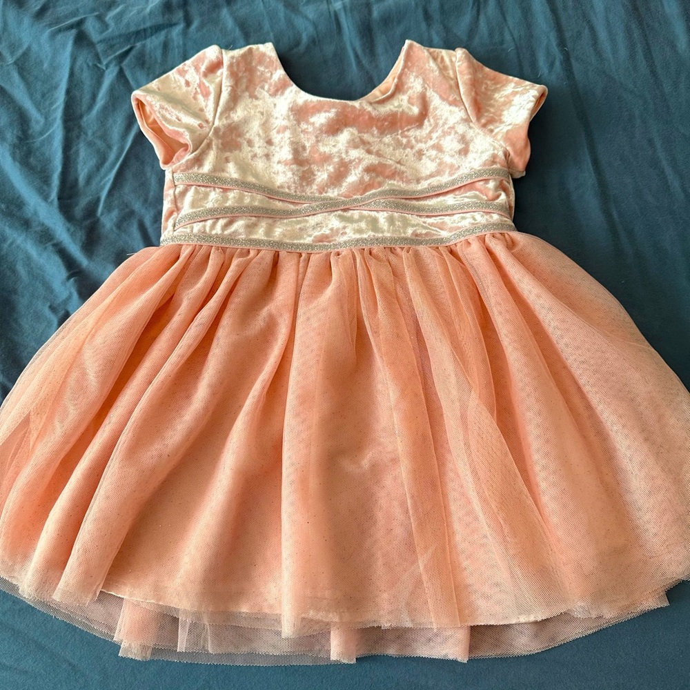 2T pink dress velour top with silver accents and lined pink tulle skirt